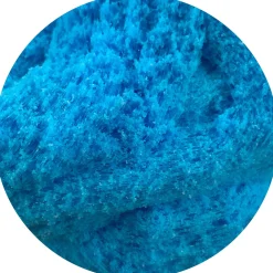 Blue Raspberry Icee