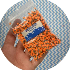 Carrot Fimo Slices