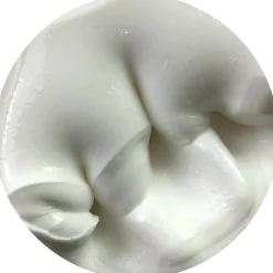 Cereal Milk