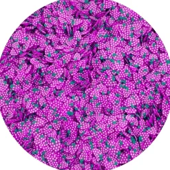 Grape Fimo Slices