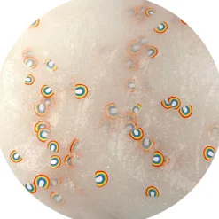 Rainbow Road Jelly