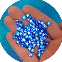 Star Fruit Fimo Slices